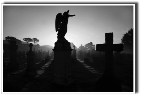 Angel of the morning